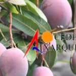 CEDER Axarquía