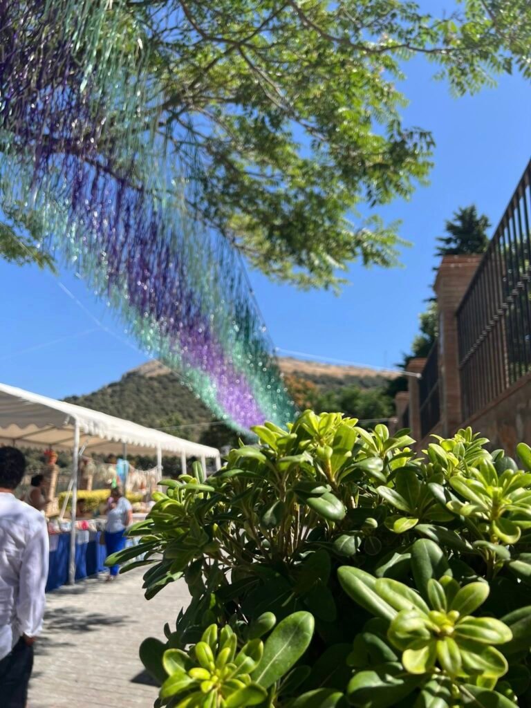 Imagen 527739654 de Alfarnatejo