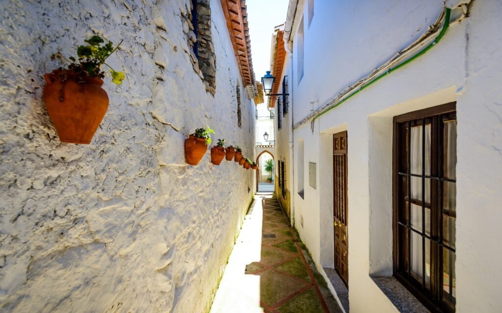 Callejones de Alfarnate