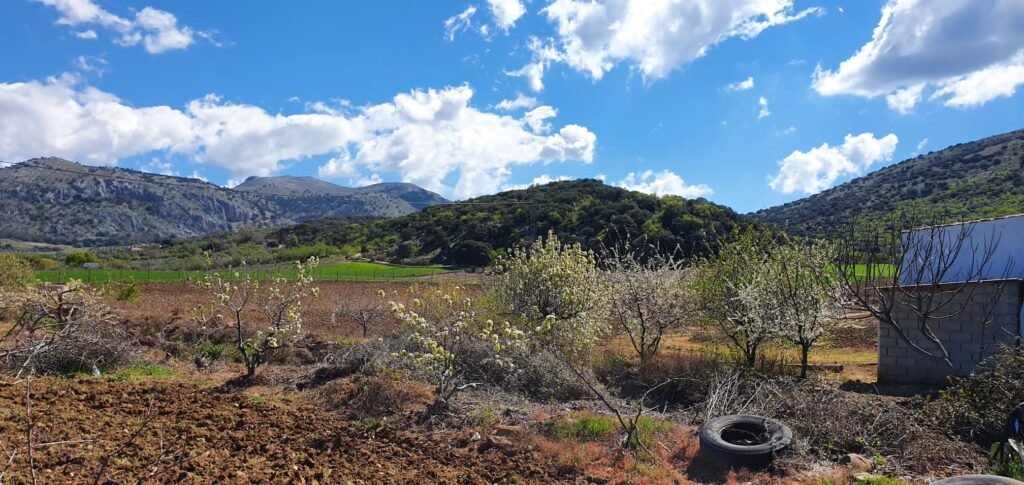 Paisaje de Alfarnate