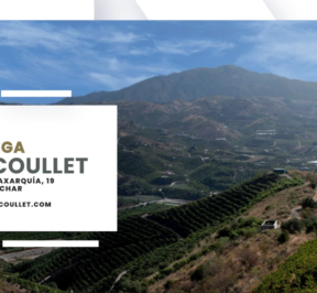 Bodega Fabio Coullet